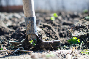 Tool Garden