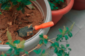 Tool Garden