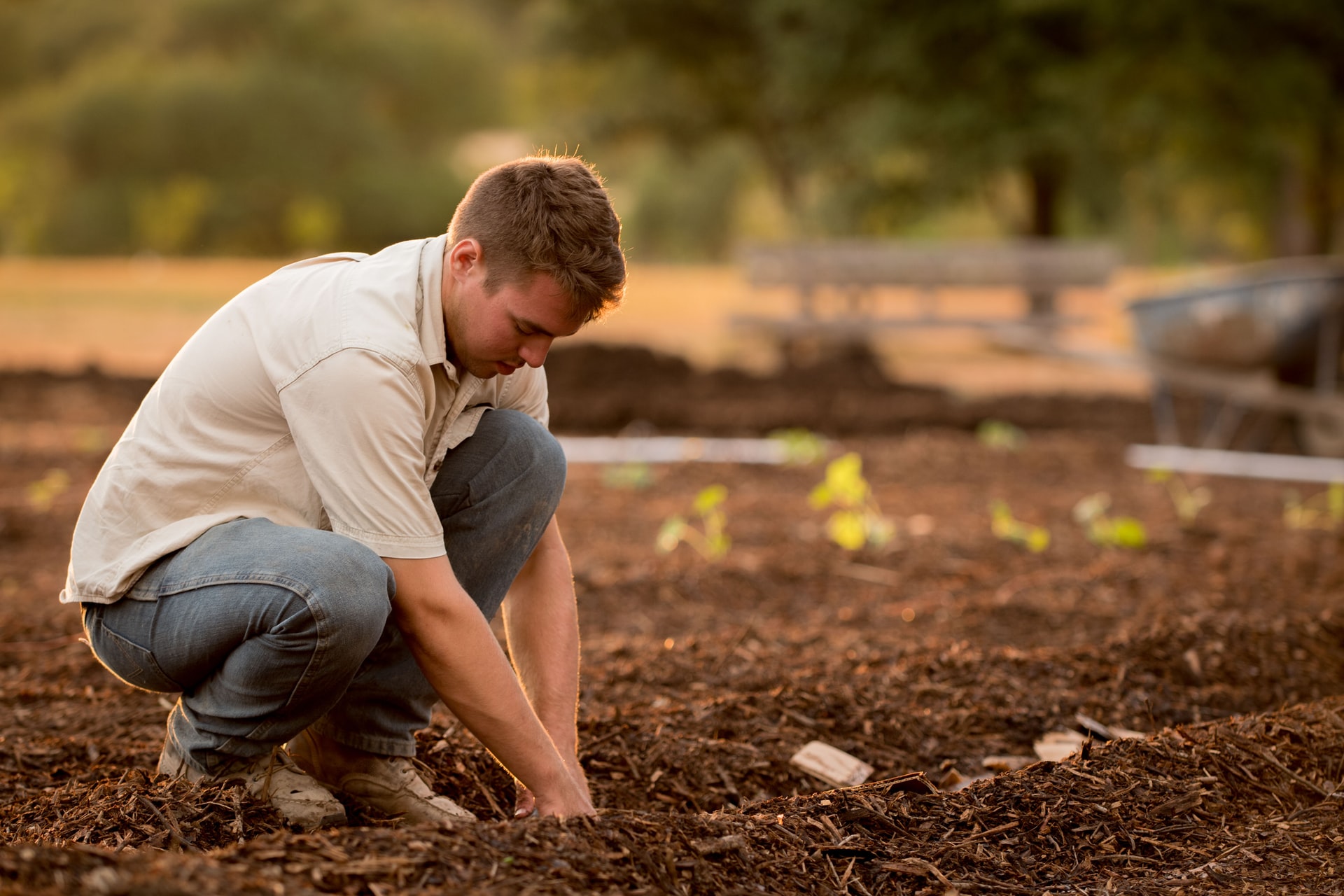 Effective Tips for Maintaining Your Home Garden