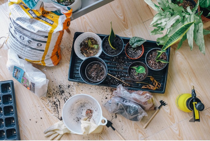 Gardening: The Benefits for Your Mood and Stress Levels