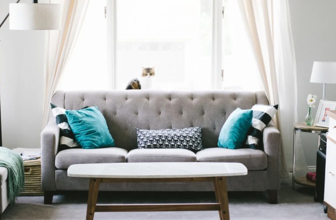 decor color